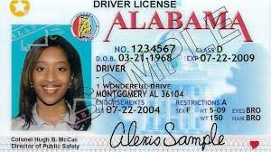 Sample of Alabama drivers license