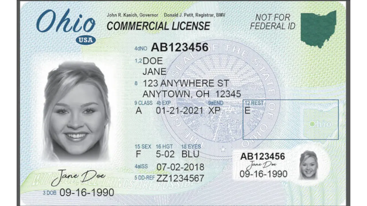 Sample of Ohio drivers license
