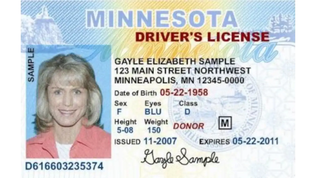 Sample of Minnesota drivers license