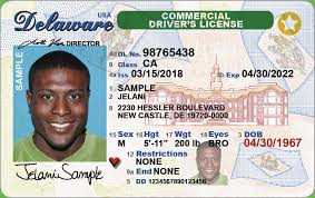 Sample of Delaware drivers license