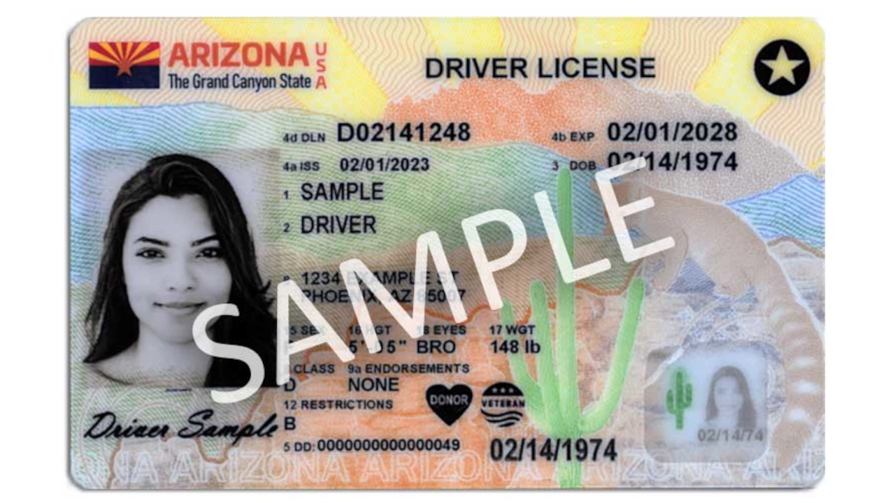 Sample of Arizona Drivers License