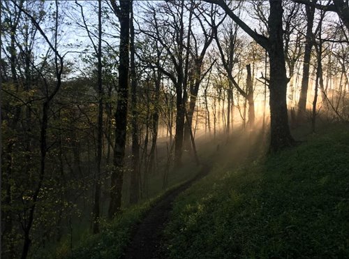 Iain Jones Hiking Photo 17