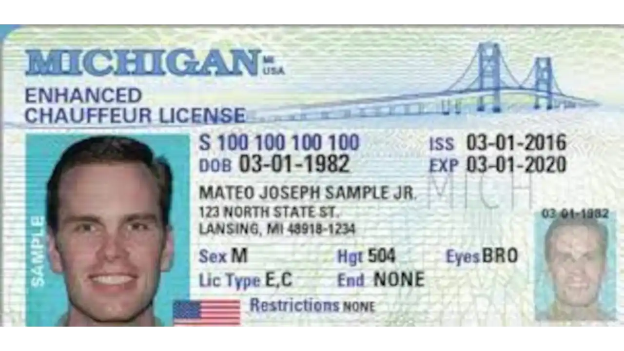 Sample of Missouri drivers license