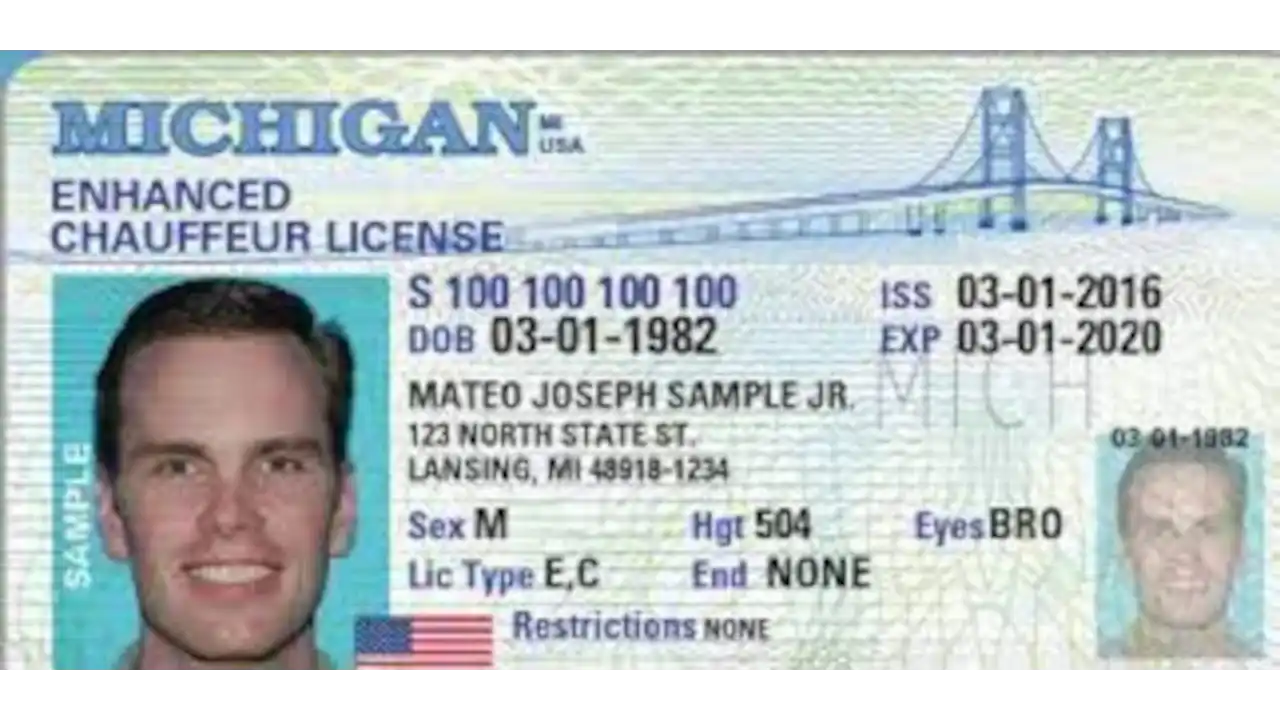 Sample of Michigan drivers license