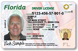 Sample of Florida Drivers License