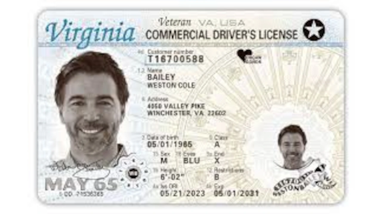 Sample of Virginia drivers license