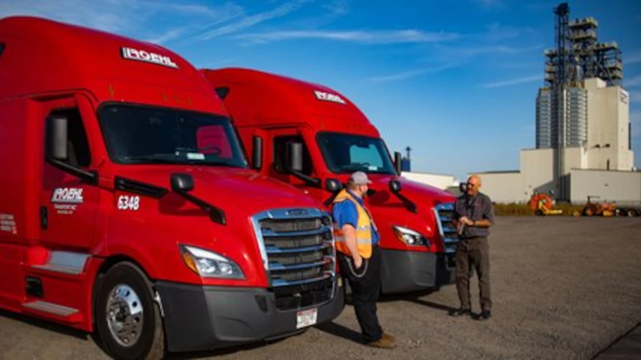 Two drivers talking by trucks