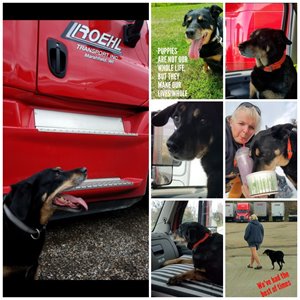Karen Baltus photo collage 2