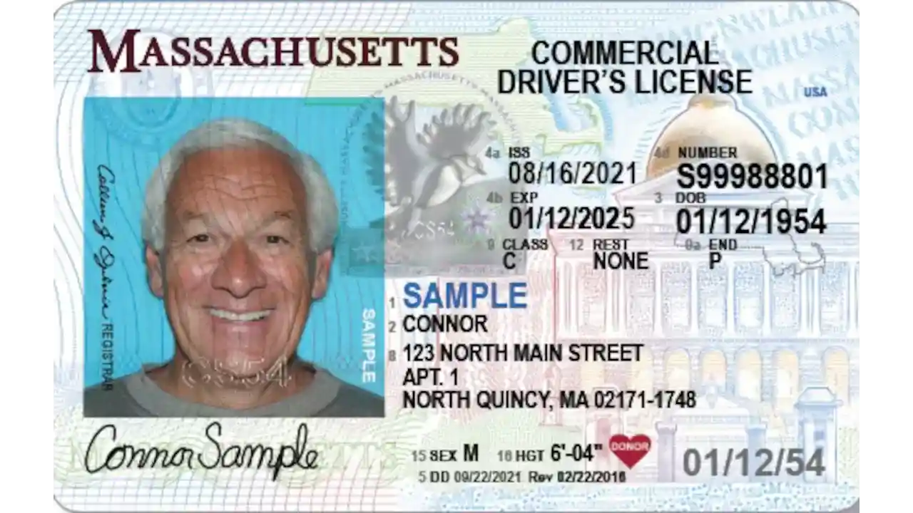 Sample of Massachusetts drivers license