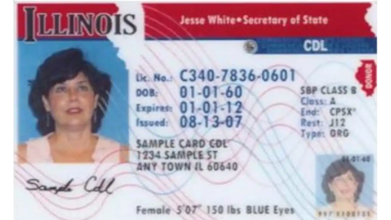 Sample of Illinois drivers license