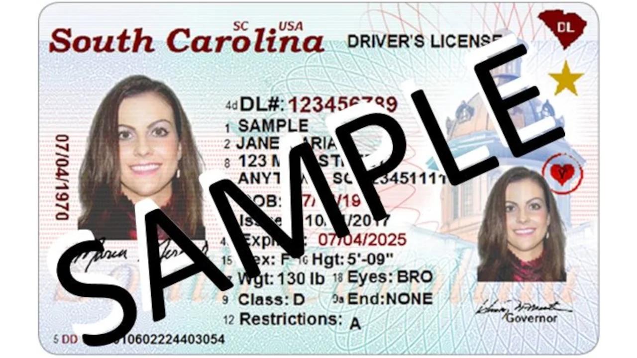 Sample of South Carolina drivers license