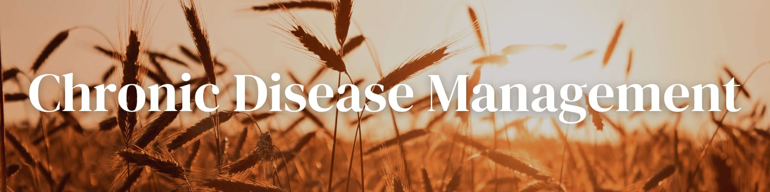 Wheat field - chronic disease management